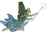 fee3.gif (4561 octets)