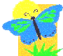papillon2.gif (3229 octets)