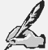 plume.gif (2187 octets)