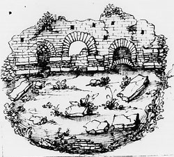 amphi.JPG (38668 octets)