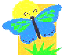 papillon.gif (4497 octets)